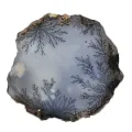 Opal Dendritic
