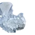 Celestină