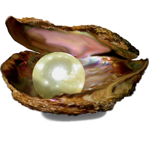Perle