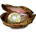Perle