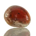 Opal de foc