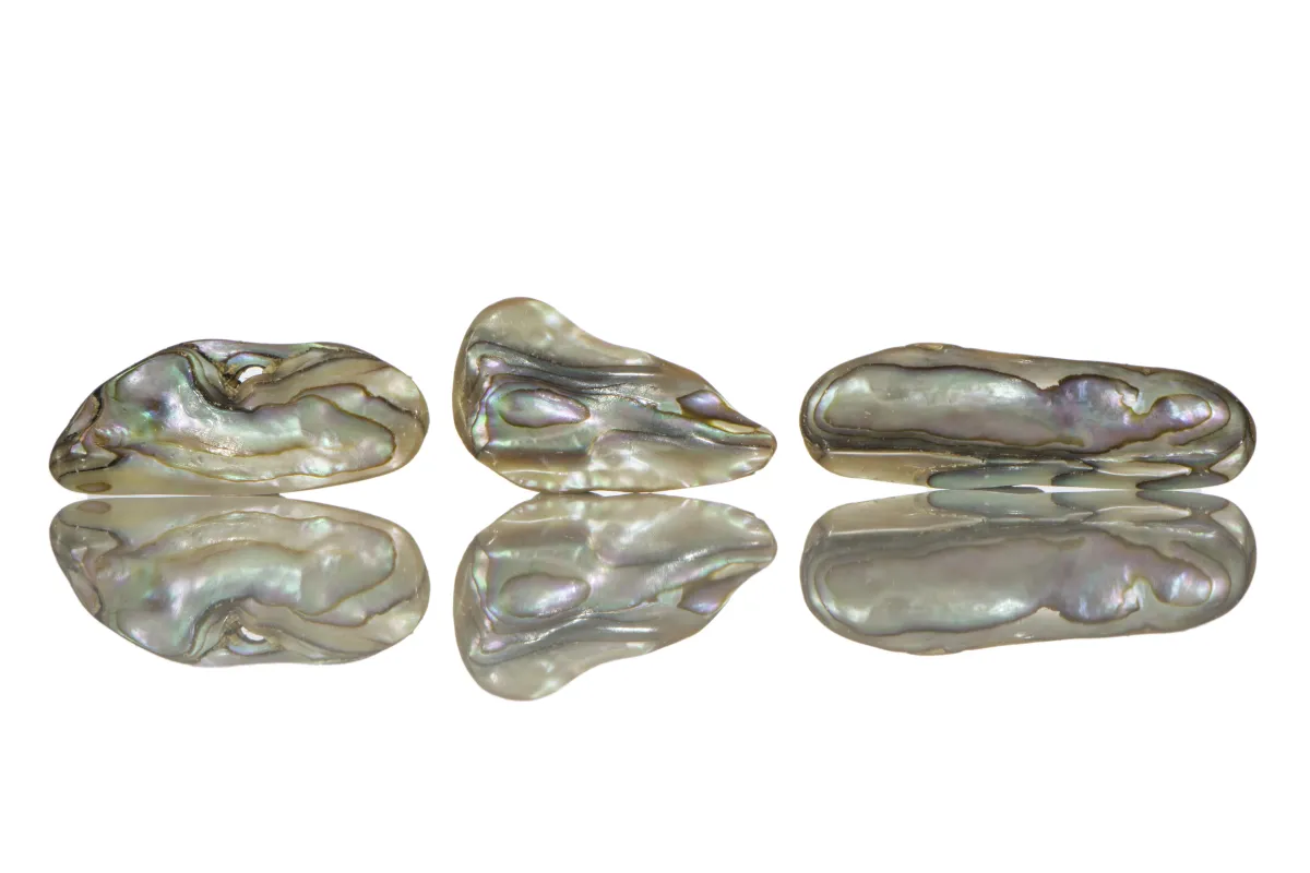 Sidef Paua