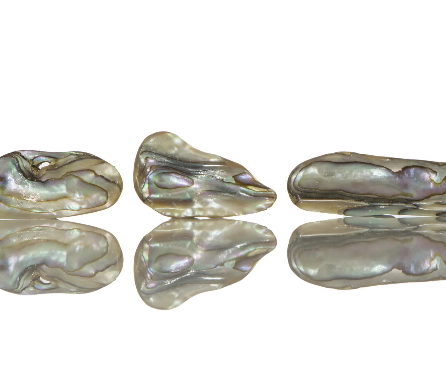 Sidef Paua