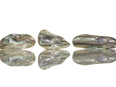 Sidef Paua