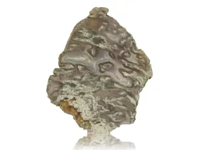 Agat Placă