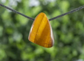 Ochi de Tigru