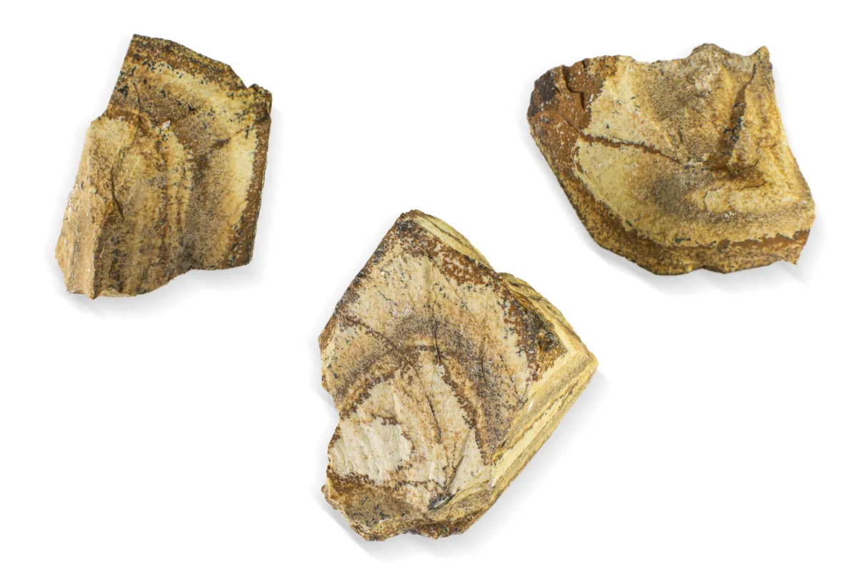 Jasp peisaj brut
