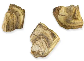 Jasp peisaj brut