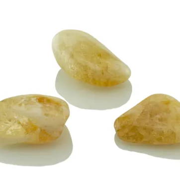 Citrin Polizat