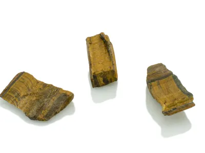Ochi de Tigru