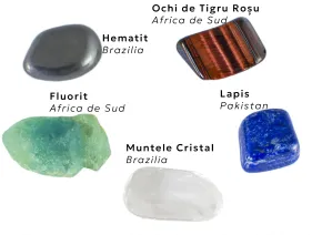 Colecția „Concentrare/Focalizare”