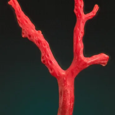 Coral