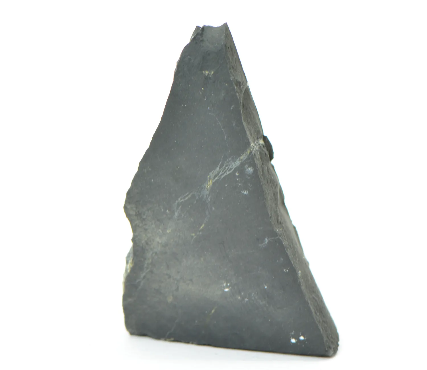 Shungit 100g