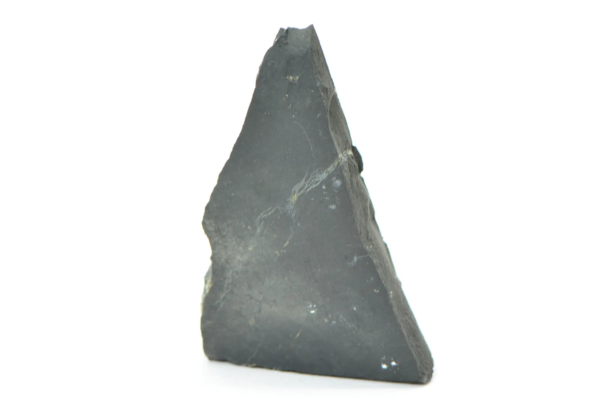 Shungit 100g