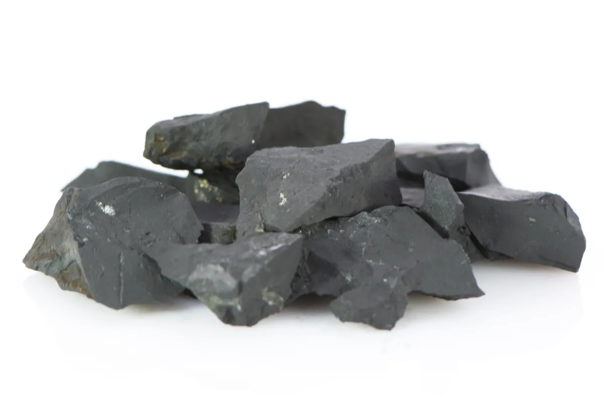Shungit 100g