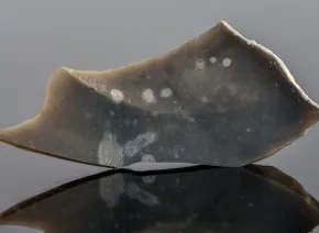 Silex Negru