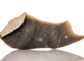 Silex Negru